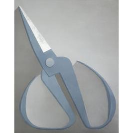 毛旭辉 Gray Blue Scissors