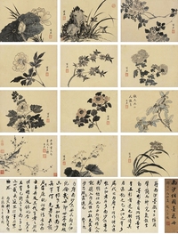 蔣廷錫（1669～1732） 花卉冊