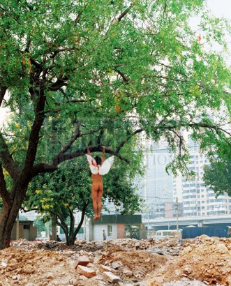 刘瑾 2005年作 挂在树上的天使