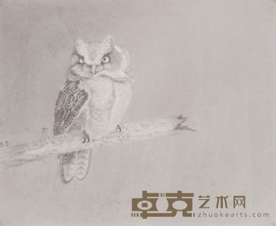杨立奇 猫头鹰 镜心 43.8×53.1cm