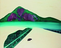郑在东 龟山岛