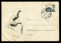 普9型天安门图美术邮资封11-1958“虾”，盖销西藏拉萨戳一枚。上中品。