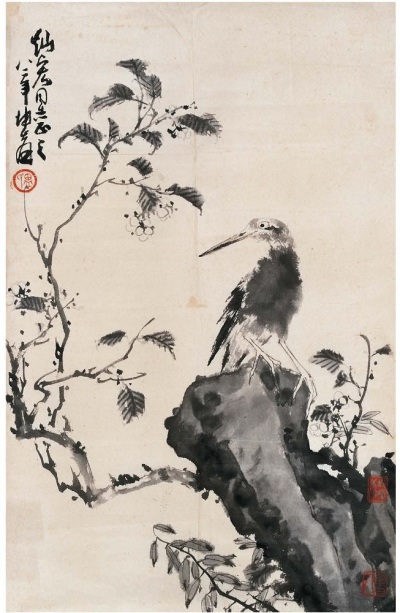 盧坤峰 山果棲鳥