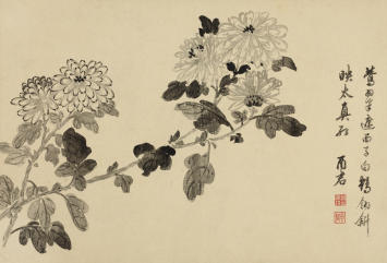 蒋廷锡(1669—1732)菊花