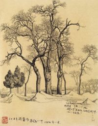 吴冠中 1953年作 冬天的树