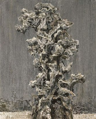罗荃木 2008年作 山石