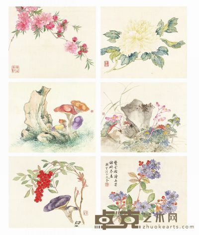 吴楷 花卉册 册页 （八开选六） 21.5×26cm×8