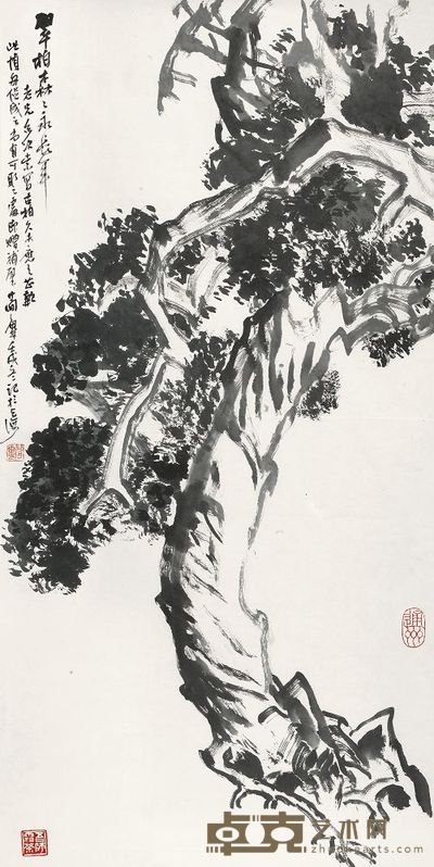 曹简楼 1982年作 翠柏森森永长年 镜心 137×67.5cm