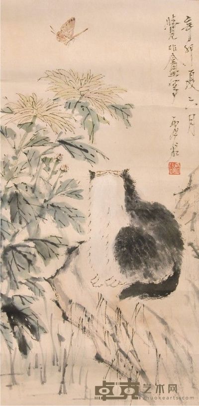 虚谷猫镜片 61×31