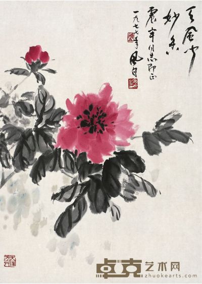 蒋风白（1915～2004）牡丹图 画心 59.5×42.5cm