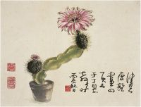 陈佩秋（1923～）仙人掌花 镜片