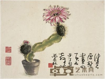 陈佩秋（1923～）仙人掌花 镜片 34×44cm