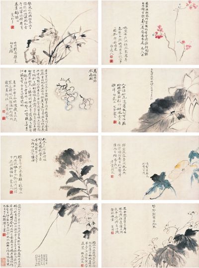 陈撰（1678～1758）花卉册 册页（八开）