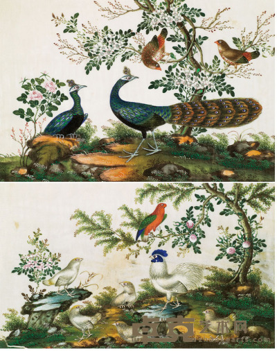 佚名 珍禽图 （二幅） 19×28cm×2