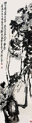 菊石图