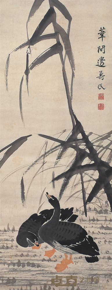 边寿民 芦雁图 立轴 132×50cm