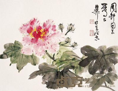 谢稚柳 花卉 镜心 27.5×36cm