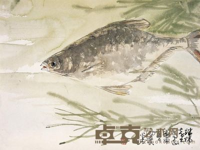 谢稚柳 1970年作 花鸟 镜心 28×37cm