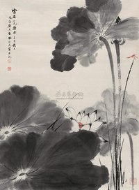 田世光 1981年作 蜻蜓芙蓉 镜心