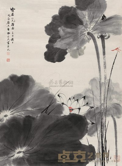 田世光 1981年作 蜻蜓芙蓉 镜心 92.5×67.5cm
