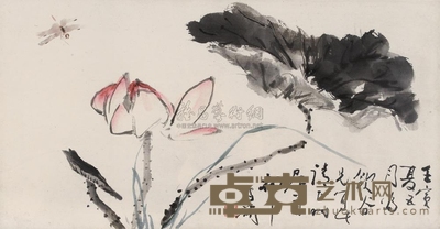 王雪涛 1962年作 荷花蜻蜓 镜心 31×59cm