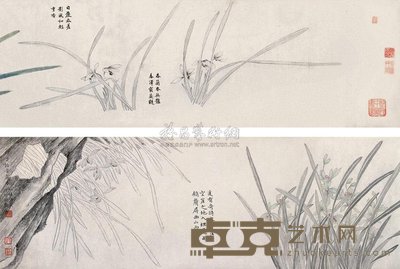 和镛 兰花 卷 22.5×287cm