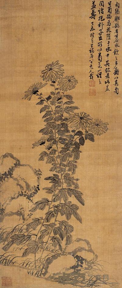 钱载 1787年作 菊石图 立轴 84×36cm