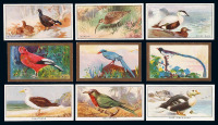 二十世纪早期英国印制鸟类图香烟画片五十枚全二套 另有二十五枚全一套
