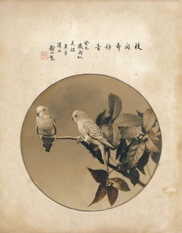 郎静山 1953年作 枝间弄好音