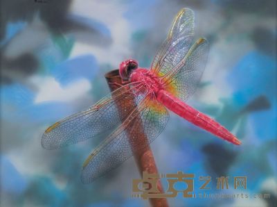 曹静萍 蜻蜓 97.5×130.5cm