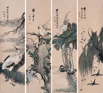 花鸟