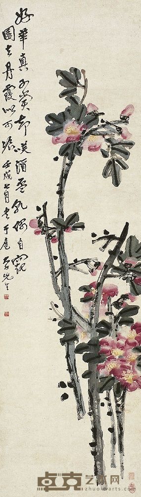 张大千（1899～1983）茶花图 