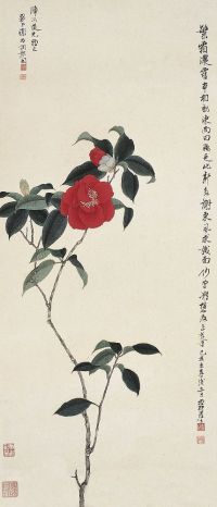 谢稚柳（1910～1997）山茶花图