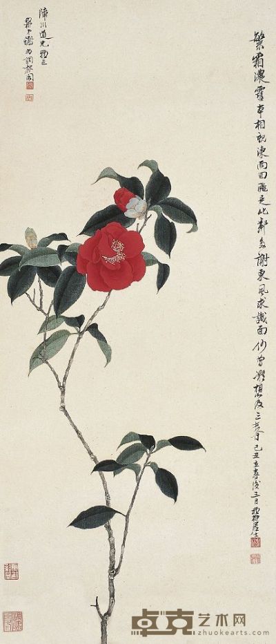 谢稚柳（1910～1997）山茶花图 