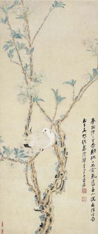 张大千（1899～1983） 梨花鸠子图