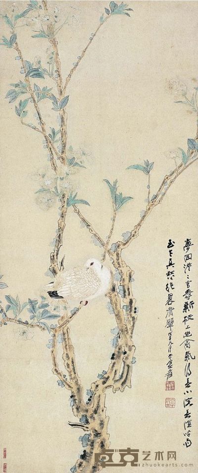 张大千（1899～1983） 梨花鸠子图 