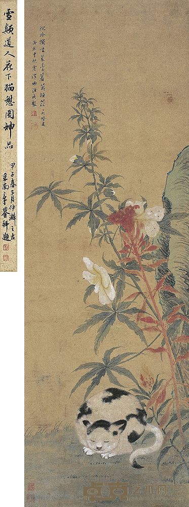 王武（1632～1690）花下猫憩图 