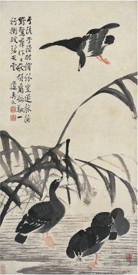 边寿民（1684～1752）芦雁图