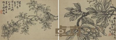 陈师曾花卉册页 20×30×10