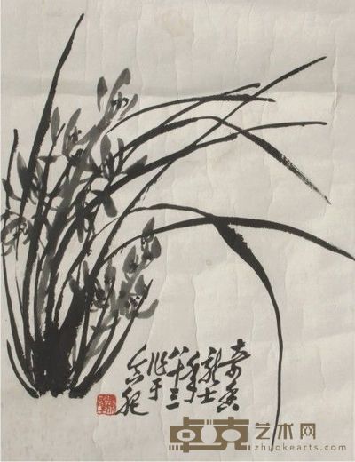 萧龙士兰草镜片 52×39