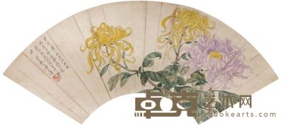 黄山寿菊花扇面 