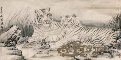 方楚雄虎镜片 128×65