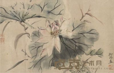陆抑非荷花立轴 32×21