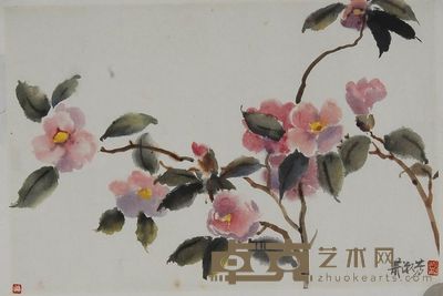 萧淑芳 花卉 镜心 28×41cm