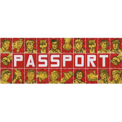 王广义 1996年作 护照系列 （三十张一组）