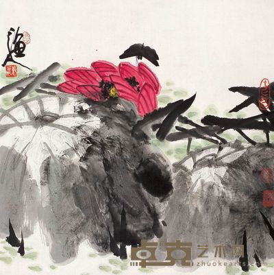 张立辰 荷花 镜心 69×68.5cm