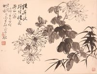 《菊花》片