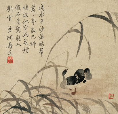 边寿民 甲子（1744年）作 芦雁图 镜心