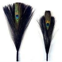 19TH CENTURY TWO ‘ONE EYE’D’ PEACOCK FEATHER MANDARIN COURT HAT PLUMES