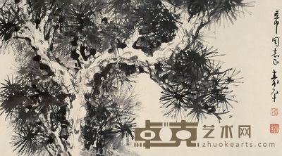 董寿平 墨松 镜心 38×68cm